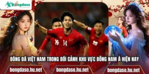 Bóng Đá Việt Nam Trong Bối Cảnh Khu Vực Đông Nam Á Hiện Nay
