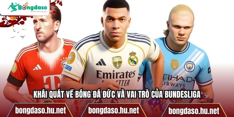 Khái quát về bóng đá Đức và vai trò của Bundesliga