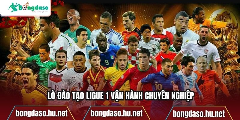 Lò đào tạo Ligue 1 vận hành chuyên nghiệp
